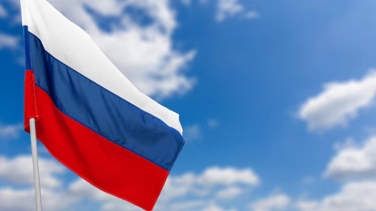 Ирина Винер, почётный президент Федерации худож...