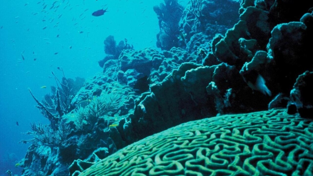 Международная группа исследователей из Бременск...