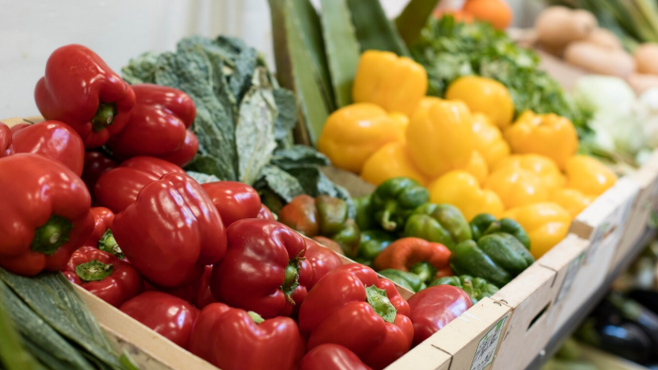 В Самарской области наблюдается увеличение объе...