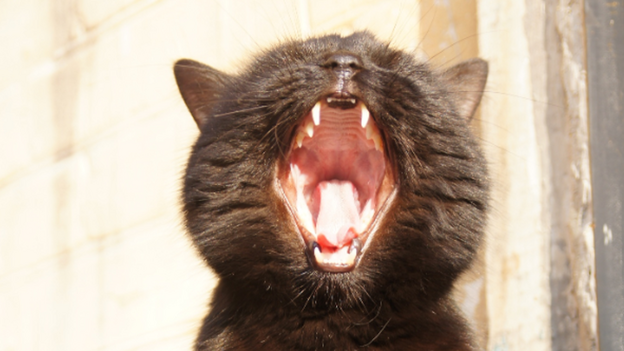 Новое исследование, опубликованное на портале b...