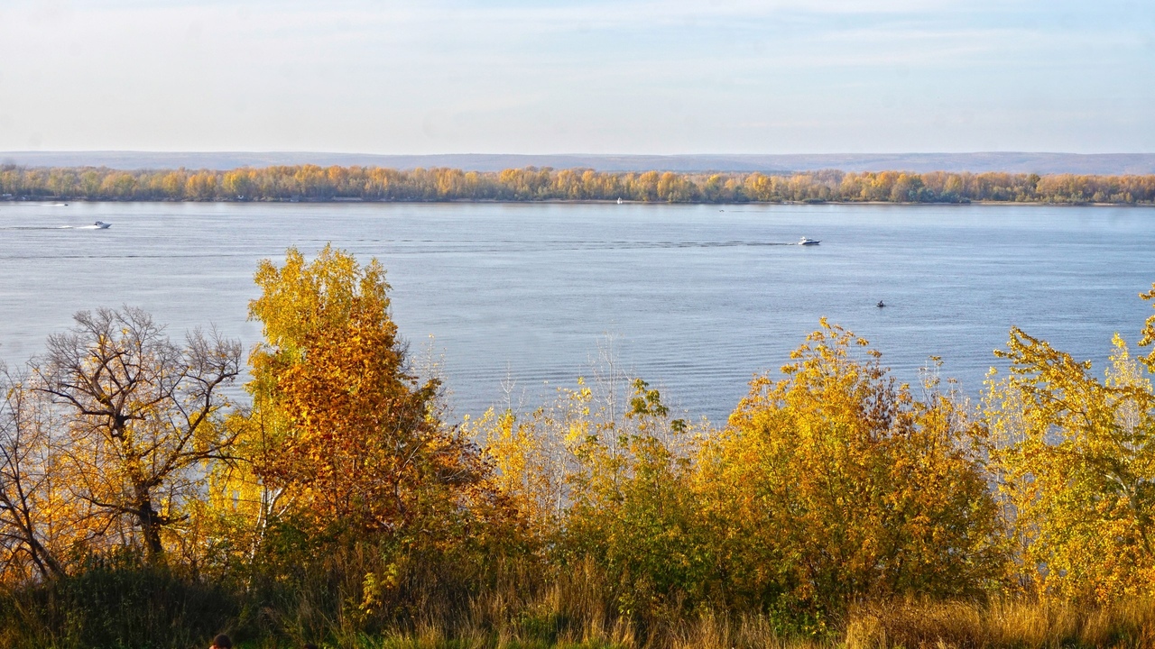 У Самары хотят изъять 7,5 тысяч гектаров лесов – идут разбирательства Прокуратура Самарской области и территориальное...