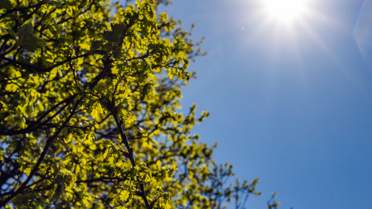 На предстоящей неделе в Самарской области прогн...