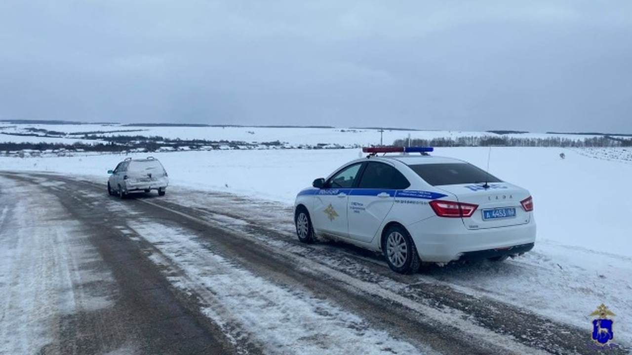 В Шенталинском районе полицейскими возбуждено у...