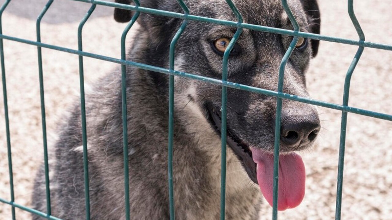 В селе Черноречье Волжского района правоохранит...