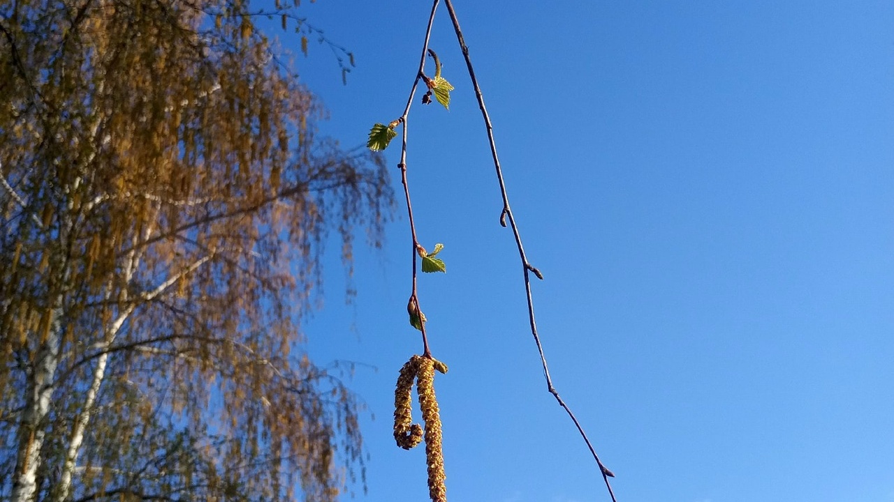 Приволжское управление по гидрометеорологии и м...