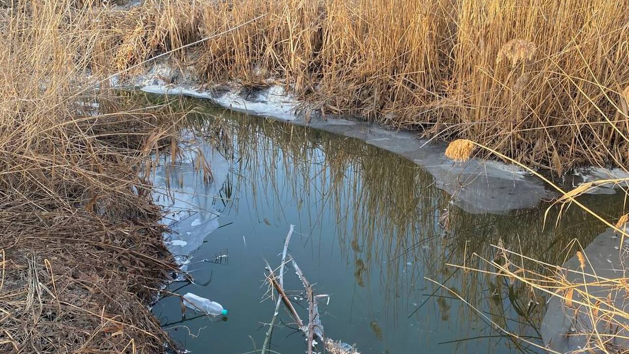«Эту зловонную канаву видно даже со спутника», ...
