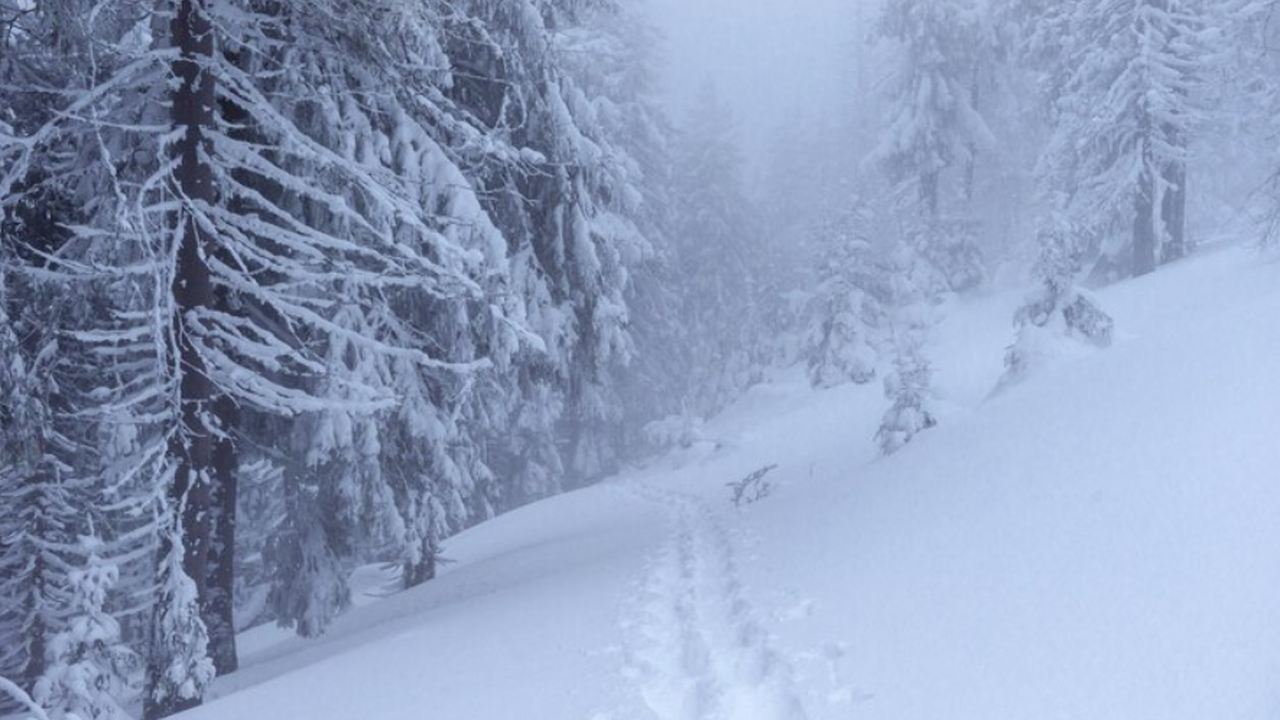 Резкое ухудшение погоды в России с 24 декабря: ...