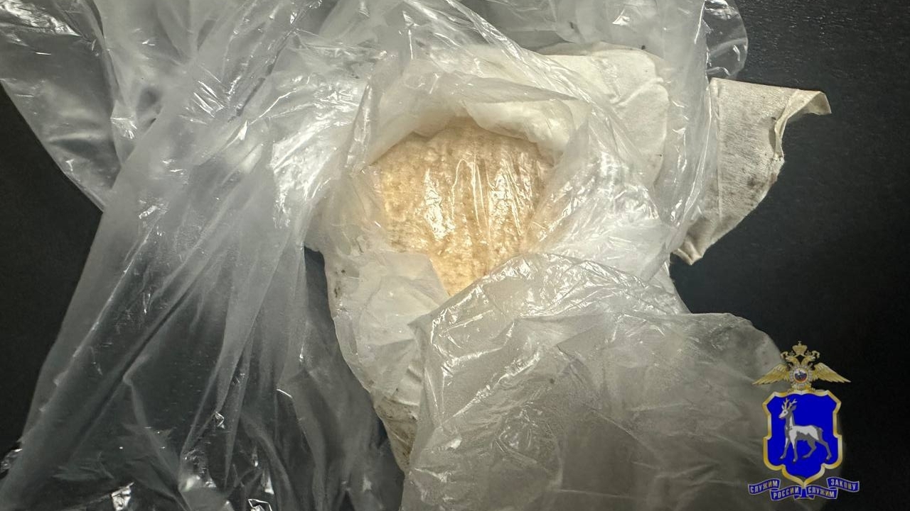 В Сызрани сотрудниками полиции задержана подозреваемая в покушении на сбыт наркотических средств в крупном размере Сотрудникам отдела по контролю за оборотом нарк...