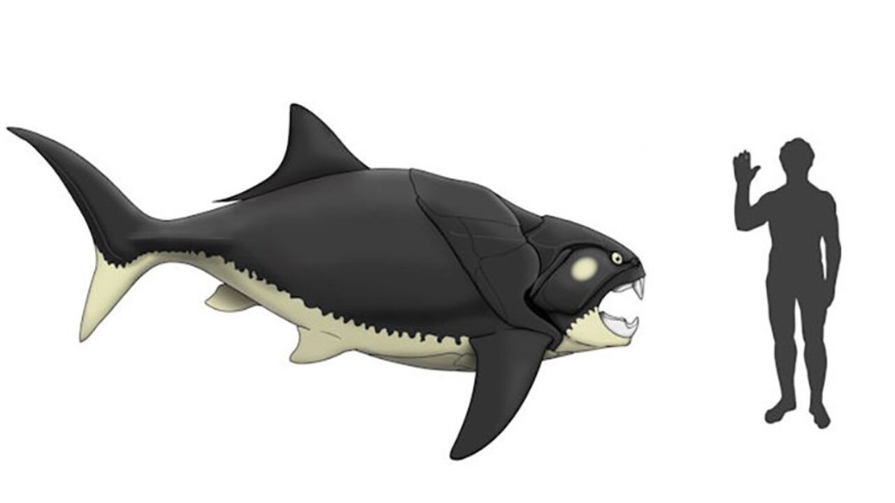 360 миллионов лет назад, в позднем девонском пе...