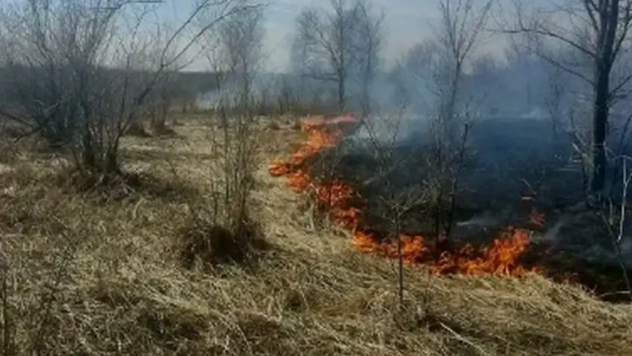 За 4 и 5 апреля лесники потушили 3 пожара в Самарской области В Самарской области в период с 4 по 5 апреля те...