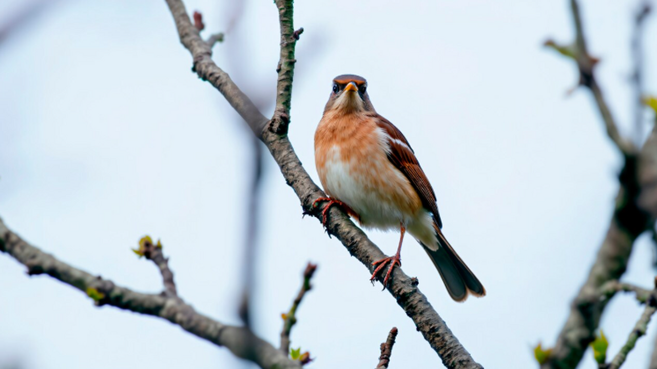 Томский государственный университет запустил пр...