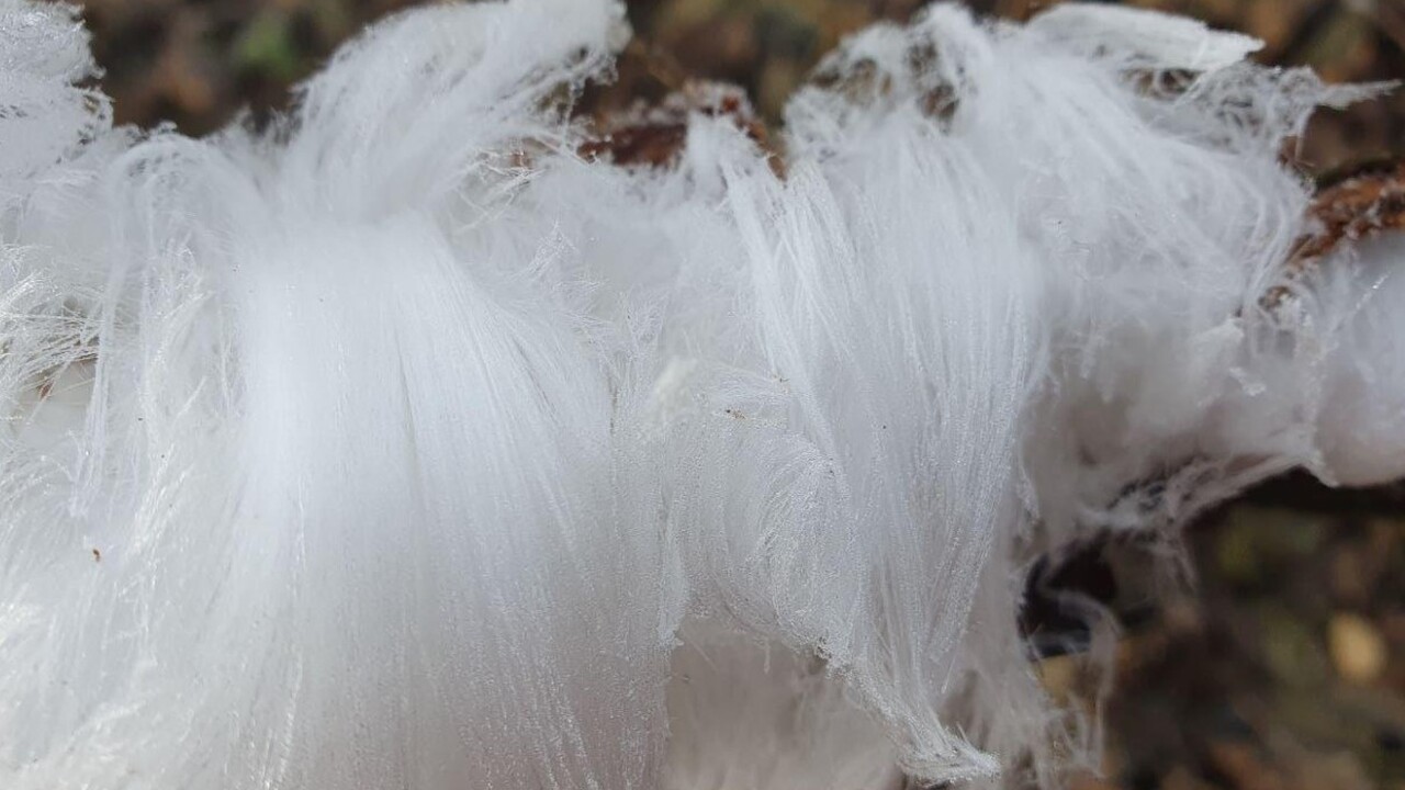 В национальном парке Оренбурга зафиксировано ун...