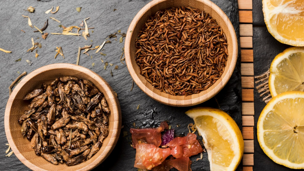 Насекомые, воздух, медузы: из чего будет сделана еда в будущем Новые подходы к обеспечению продовольственной б...