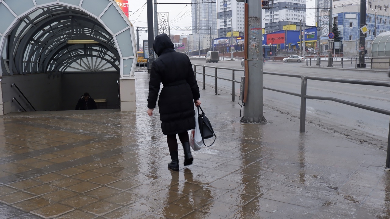 В Самаре в связи с постоянными потеплениями для...