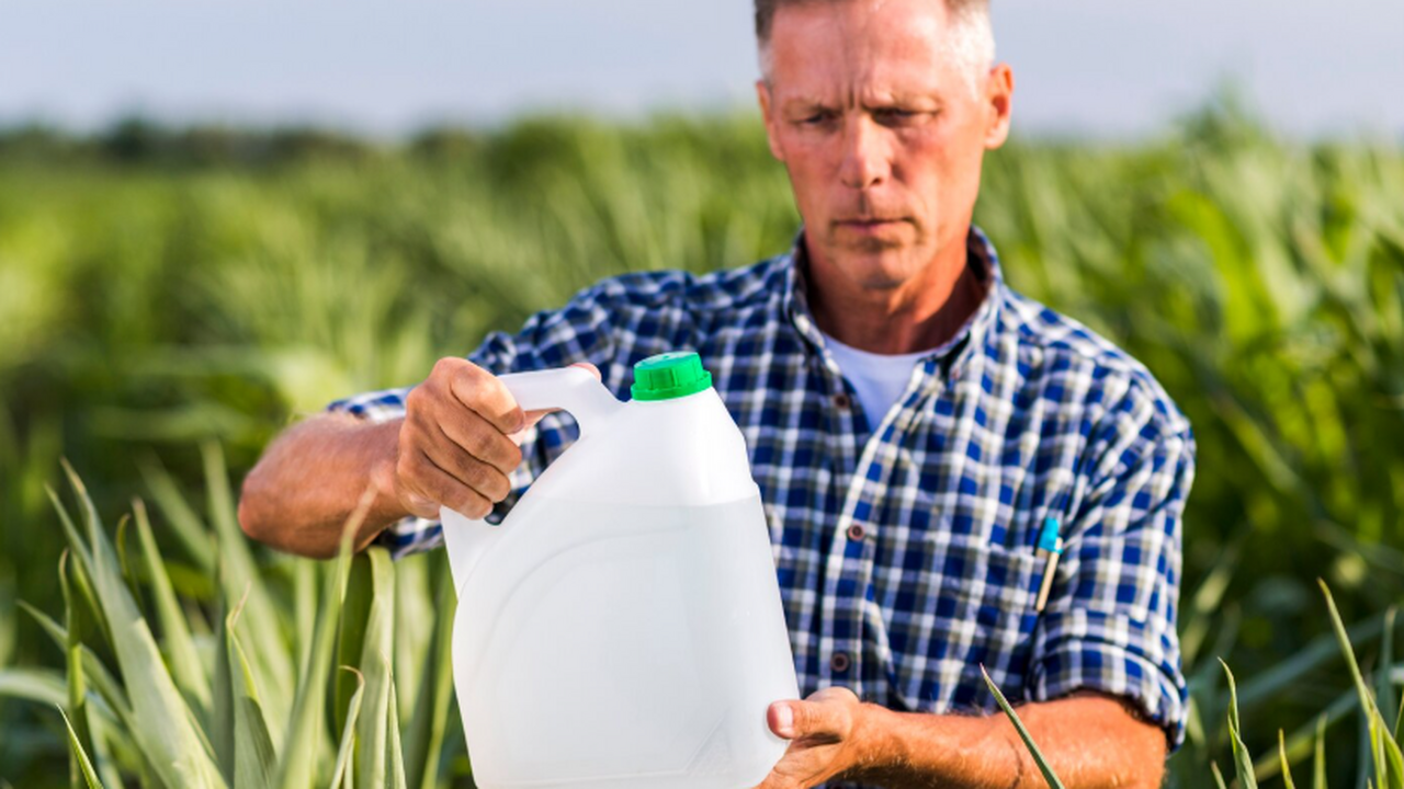 Учёные из Калифорнийского университета в Лос-Ан...