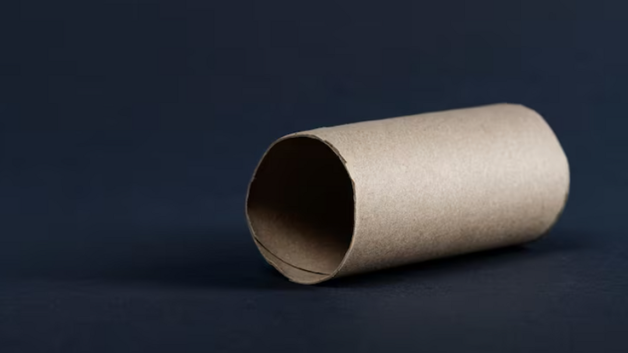 5 способов дать вторую жизнь картонной втулке о...