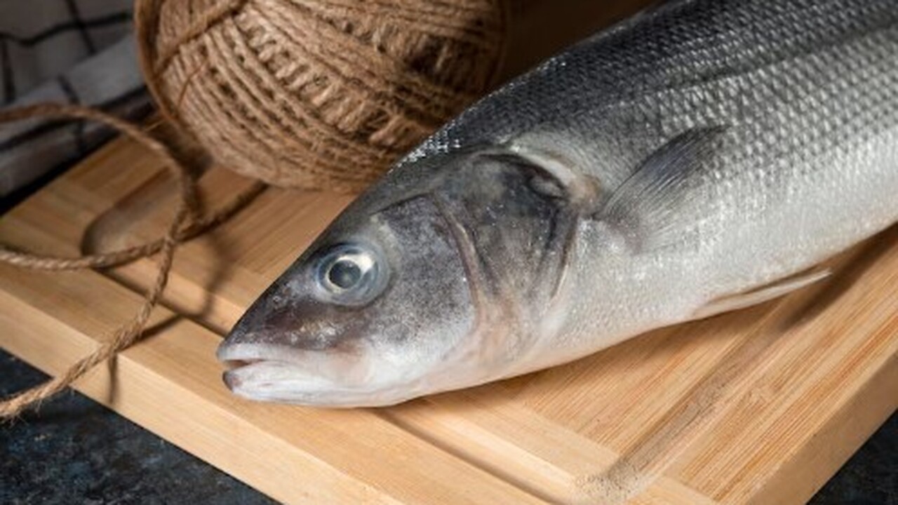 В озере Сямозеро рыбаки регулярно вылавливают л...