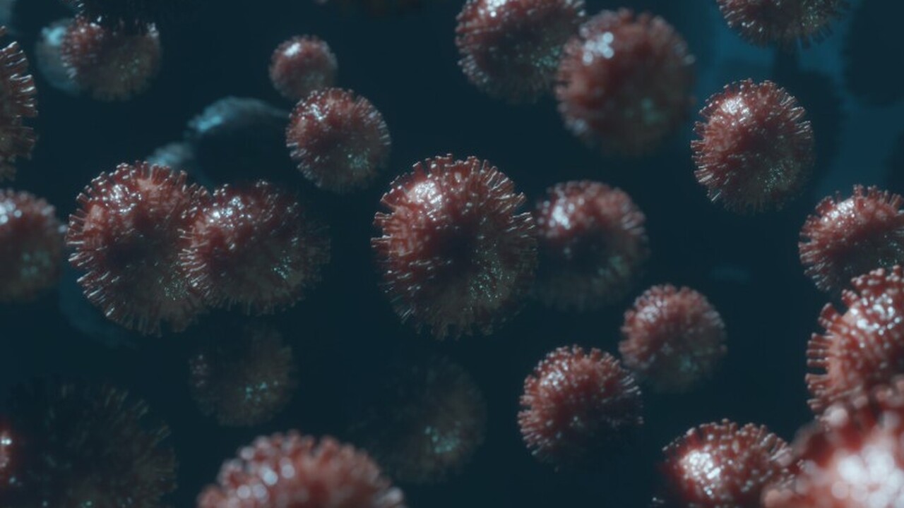 Ученые Токио открыли гигантский вирус, ведущий к пониманию зарождения жизни Японские учёные из Токийского университета наук...