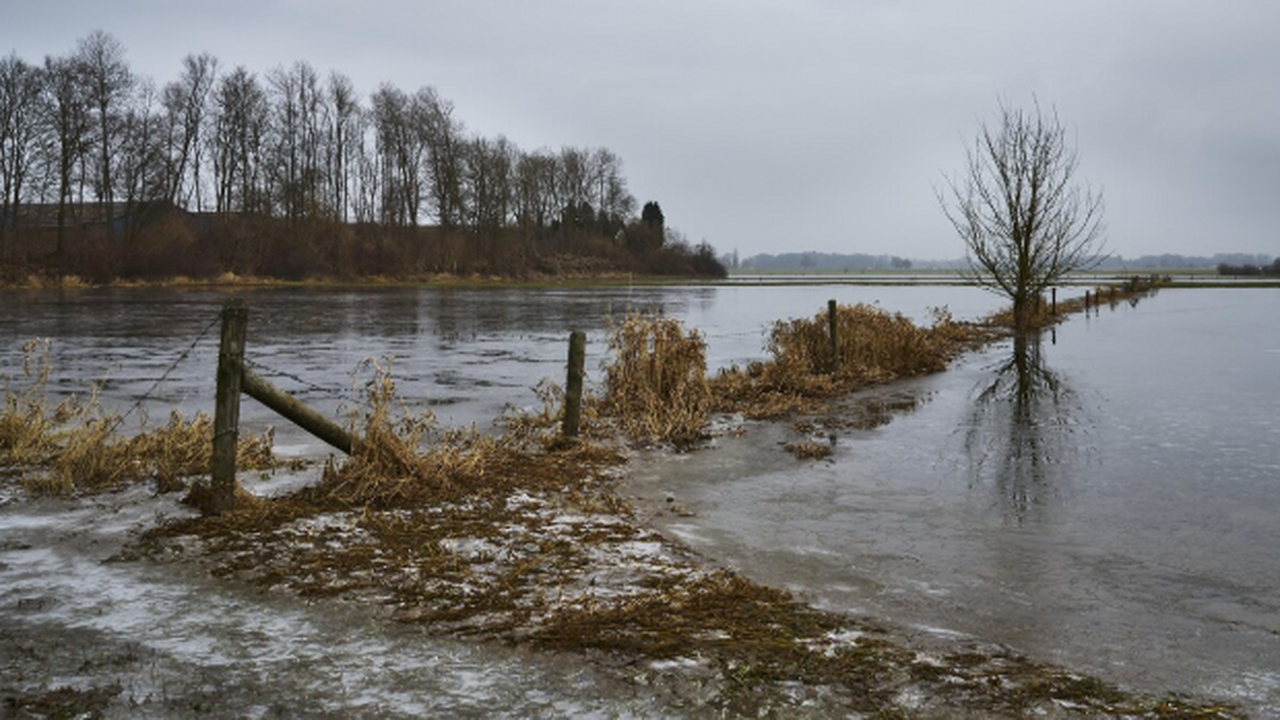 В Самарской области в связи с подъёмом уровня в...