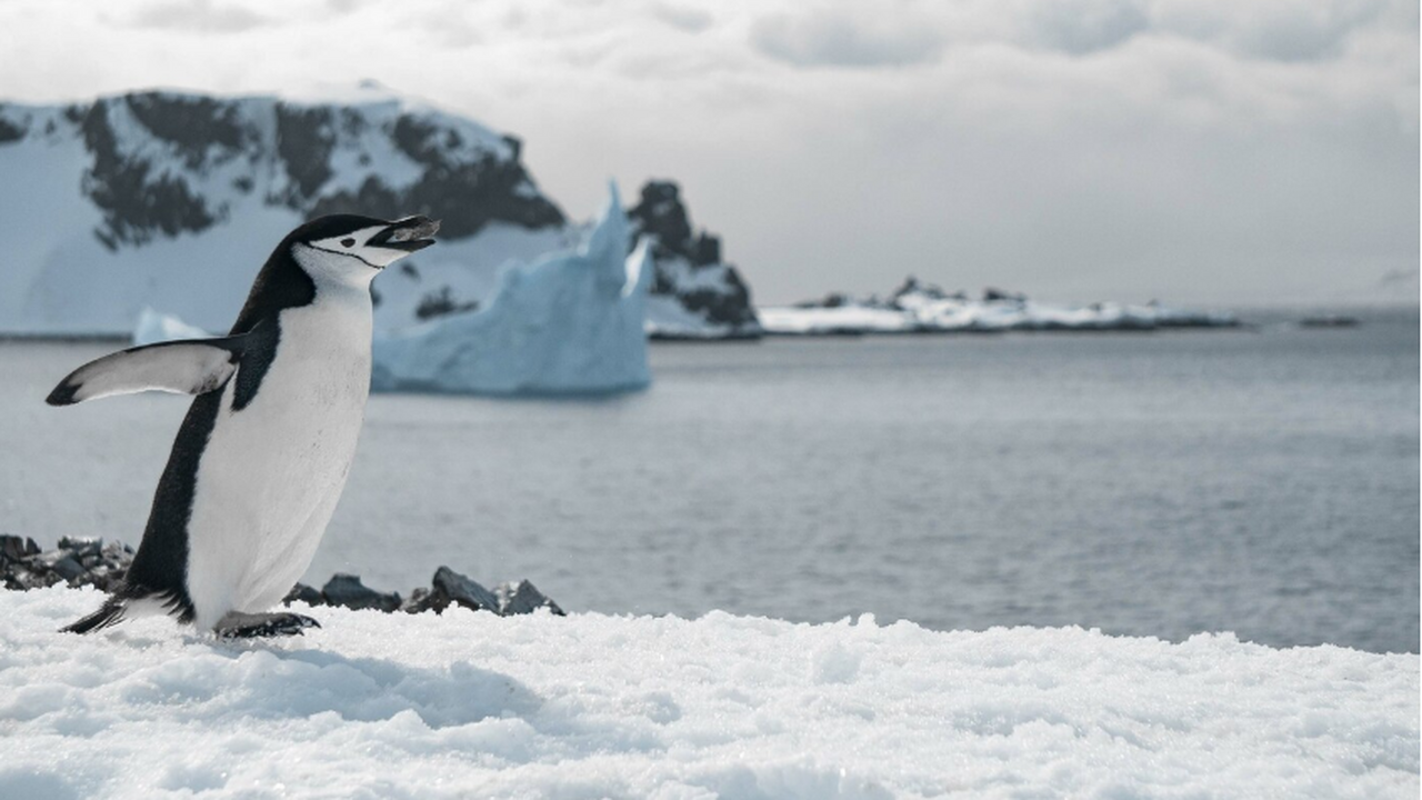 4 января международная команда исследователей о...