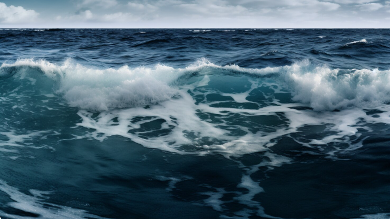 В зоне Кларион‑Клиппертон в Тихом океане ученые описали 788 видов: найдены новые Международная группа исследователей океанов про...