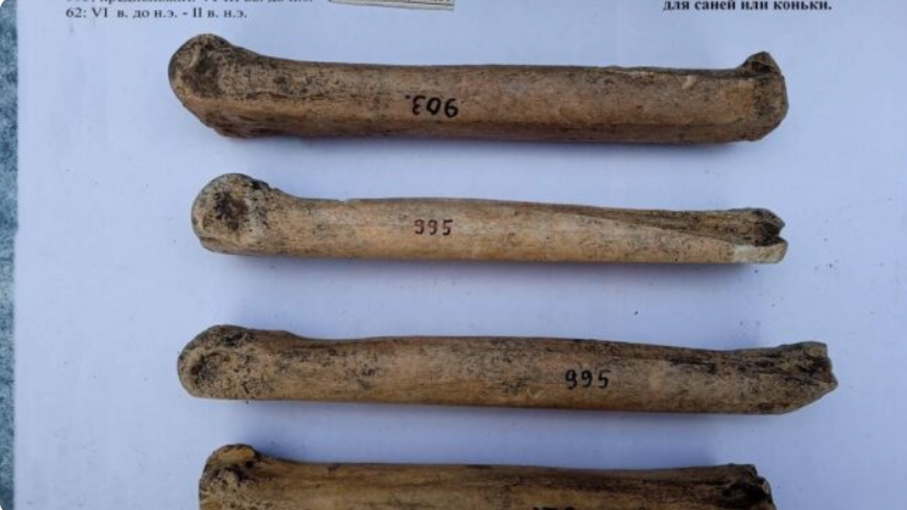 «Коньки» из лошадиной кости античной эпохи нашли и сняли археологи на Кубани На Таманском полуострове в ходе археологических...
