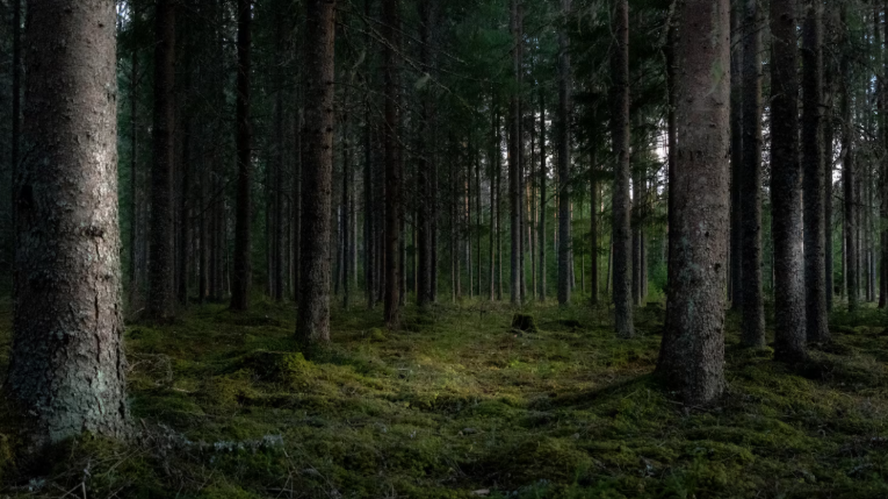 Самарское трамвайно-троллейбусное управление во...
