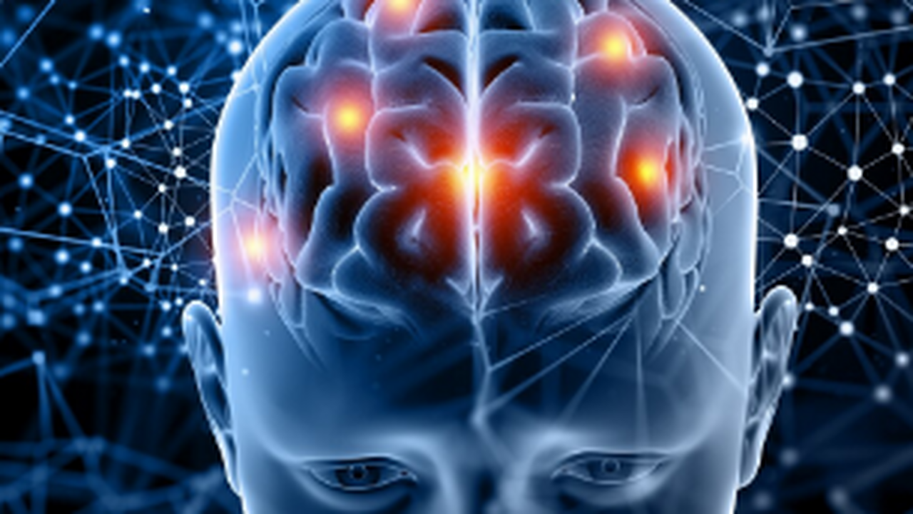 Учёные нашли в мозге группу клеток, которые нач...