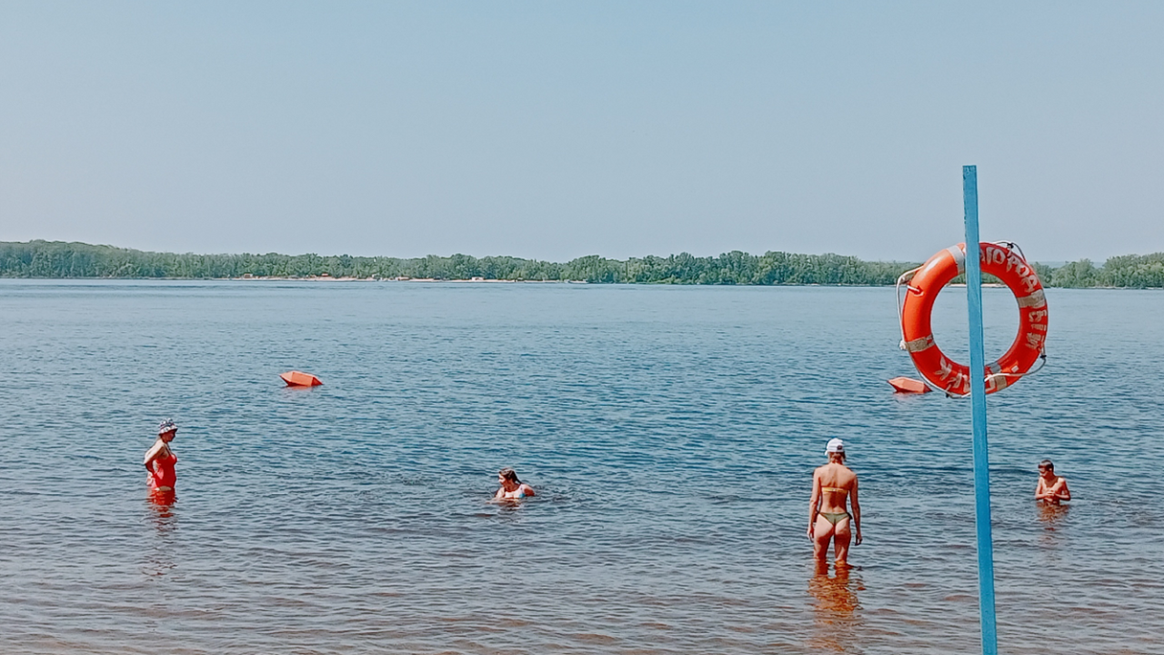 Прошло исследование: в бассейне Волги выявили 10 новых для реки видов рыб Ученые провели обширное исследование генетическ...