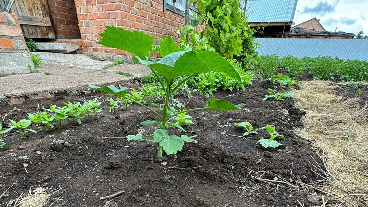 Штрафы за нарушения земельного законодательства...