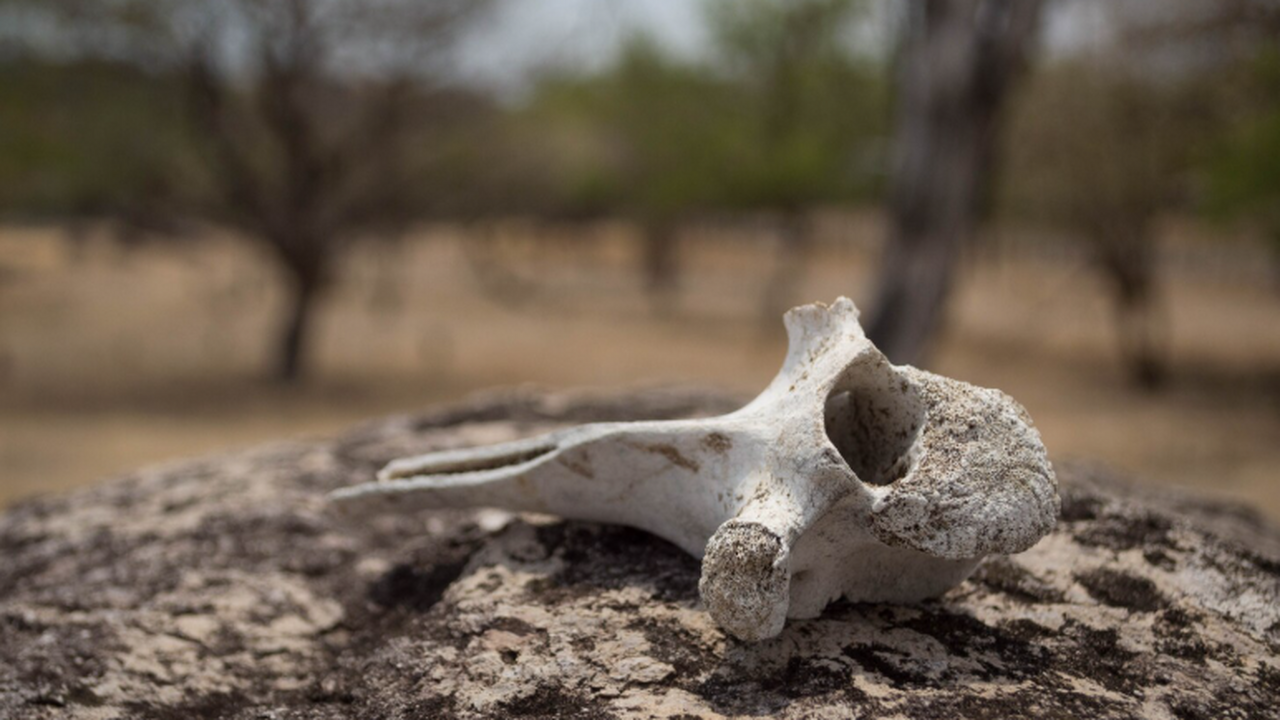 Группа ученых из разных стран установила, что п...