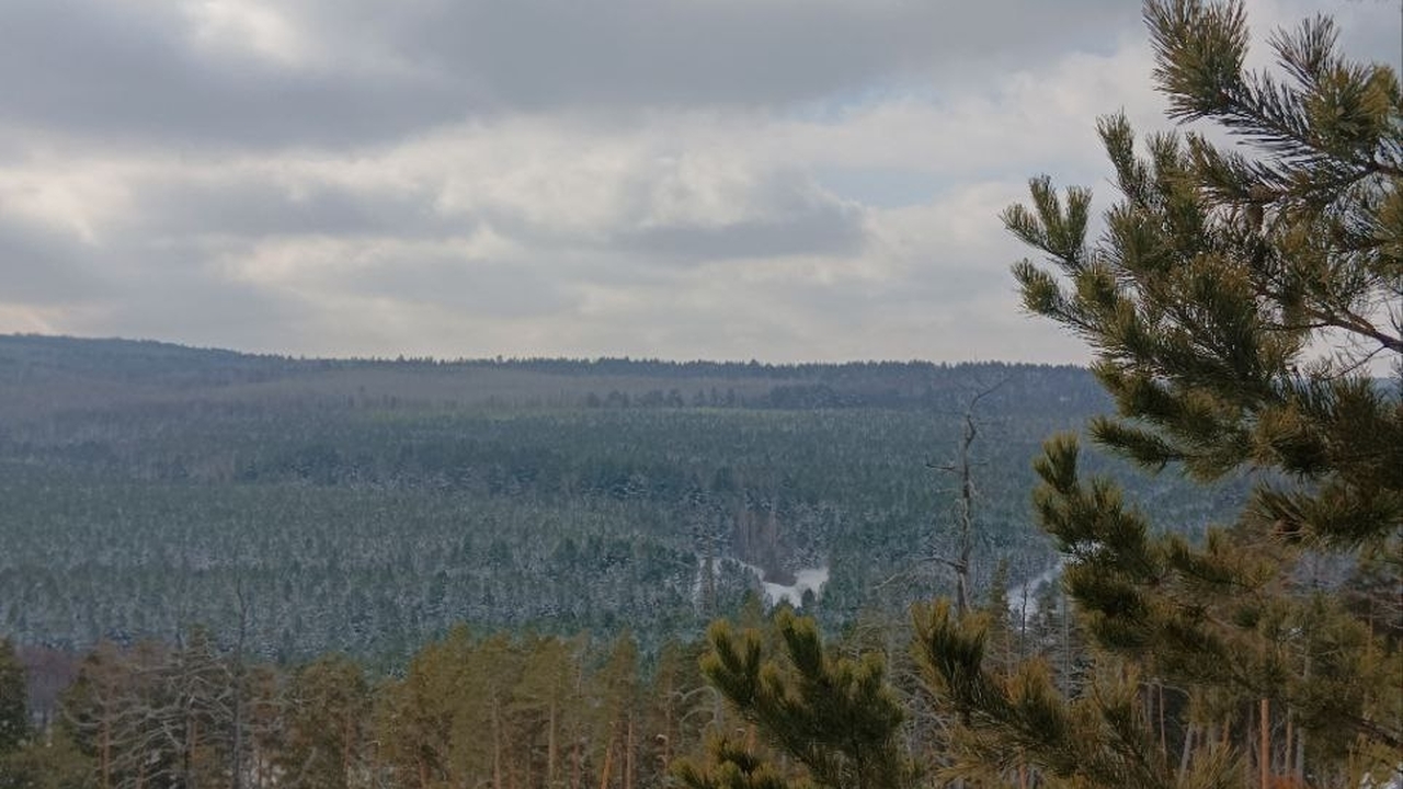 Цифровая экосистема МТС вывела в эфир еще неско...