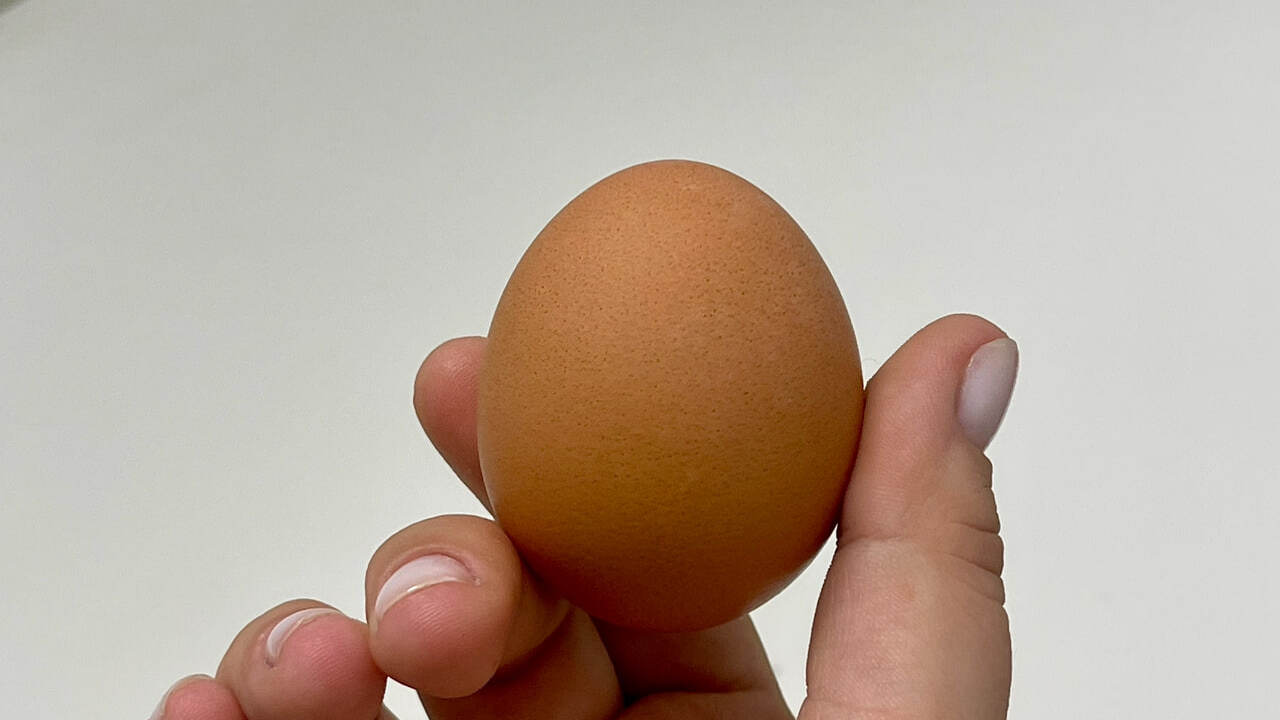 В магазине "Чижик" сейчас действует акция на ку...