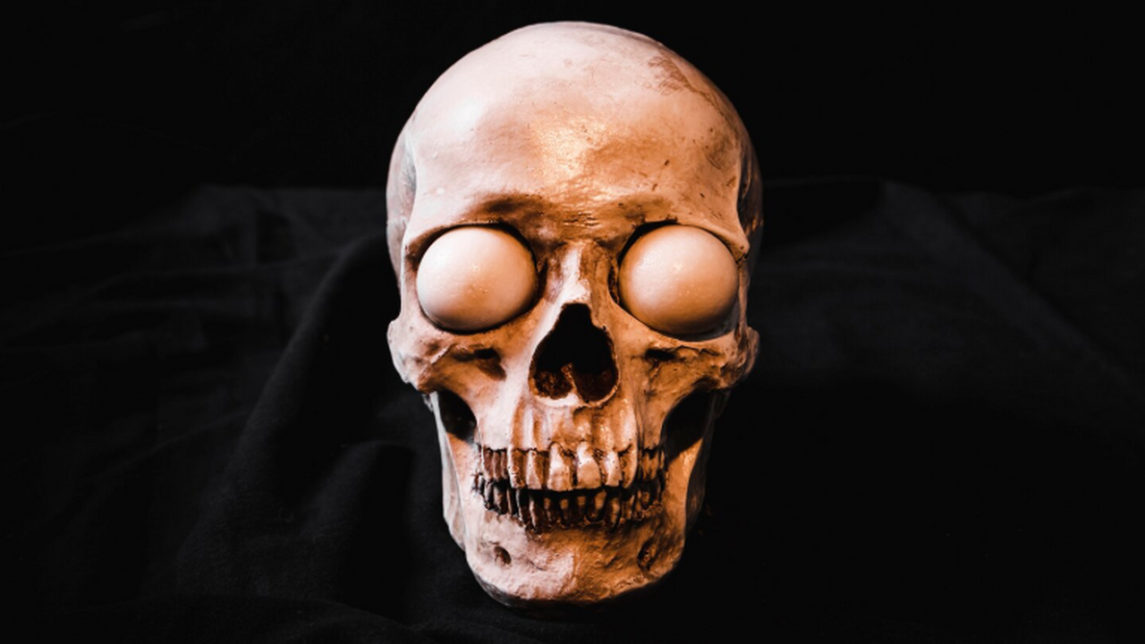 NYP: в США обнаружили череп человека, жившего 4200 лет назад – что известно В штате Индиана местный житель нашёл на берегу ...