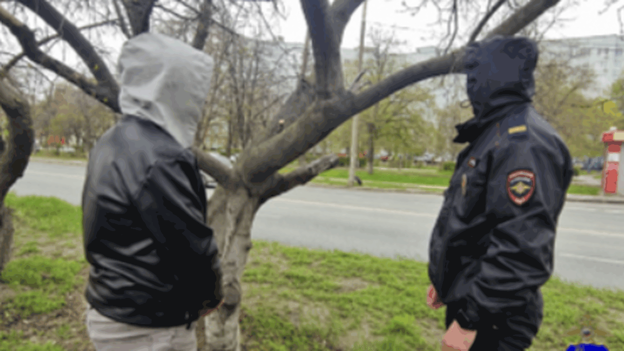 В городе Тольятти сотрудники органов внутренних...