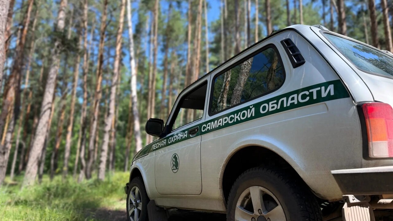 Более 5000 рейдов провела лесная охрана Самарской области за первое полугодие 2026 года В 2026 году патрулирование лесного фонда в Сама...