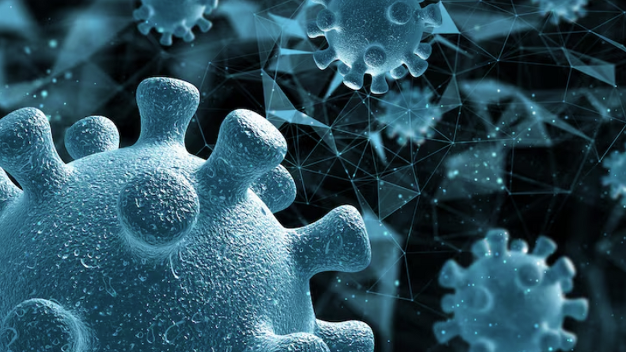 Российские ученые совместно с коллегами из Моск...