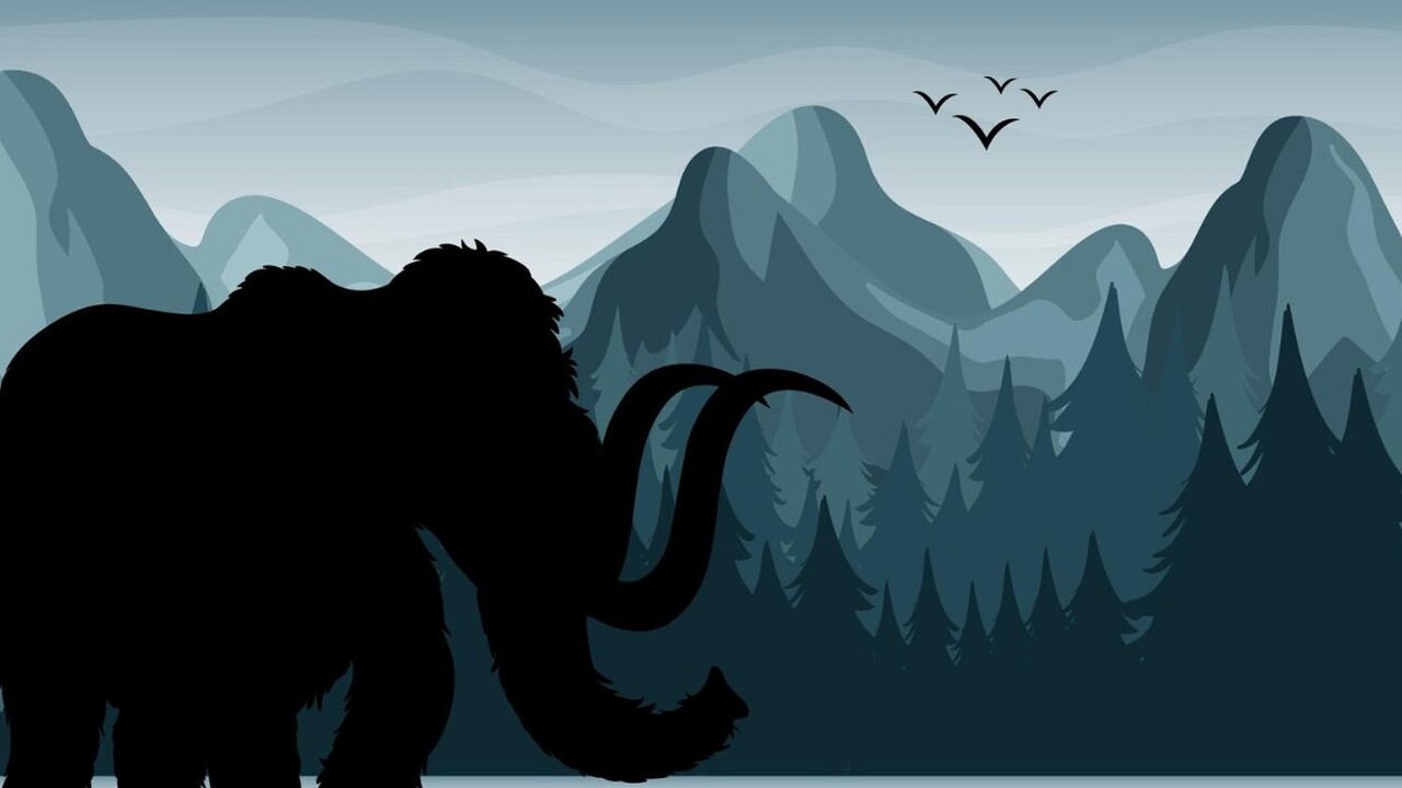 РНК мамонтёнка Юки позволил оценить уровень стресса перед нападением хищников В результате комплексного анализа рибонуклеинов...