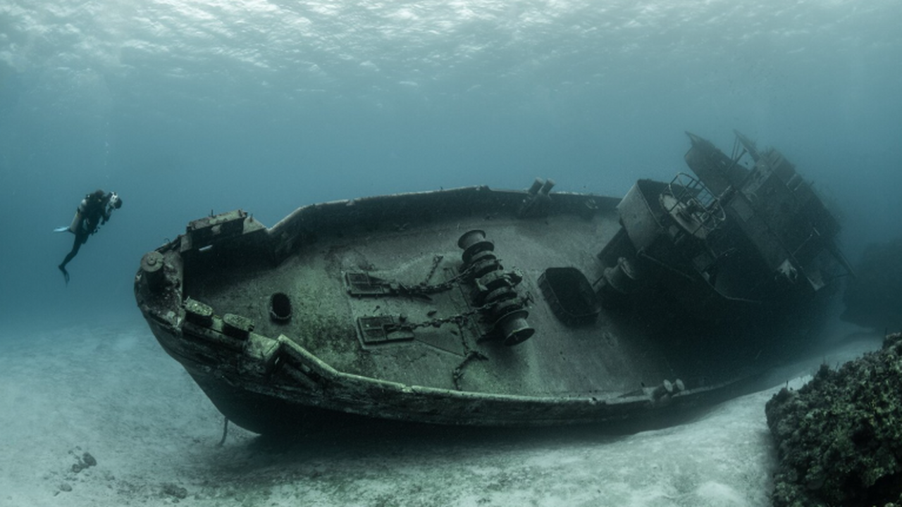 Научное сообщество не зафиксировало утечек плут...