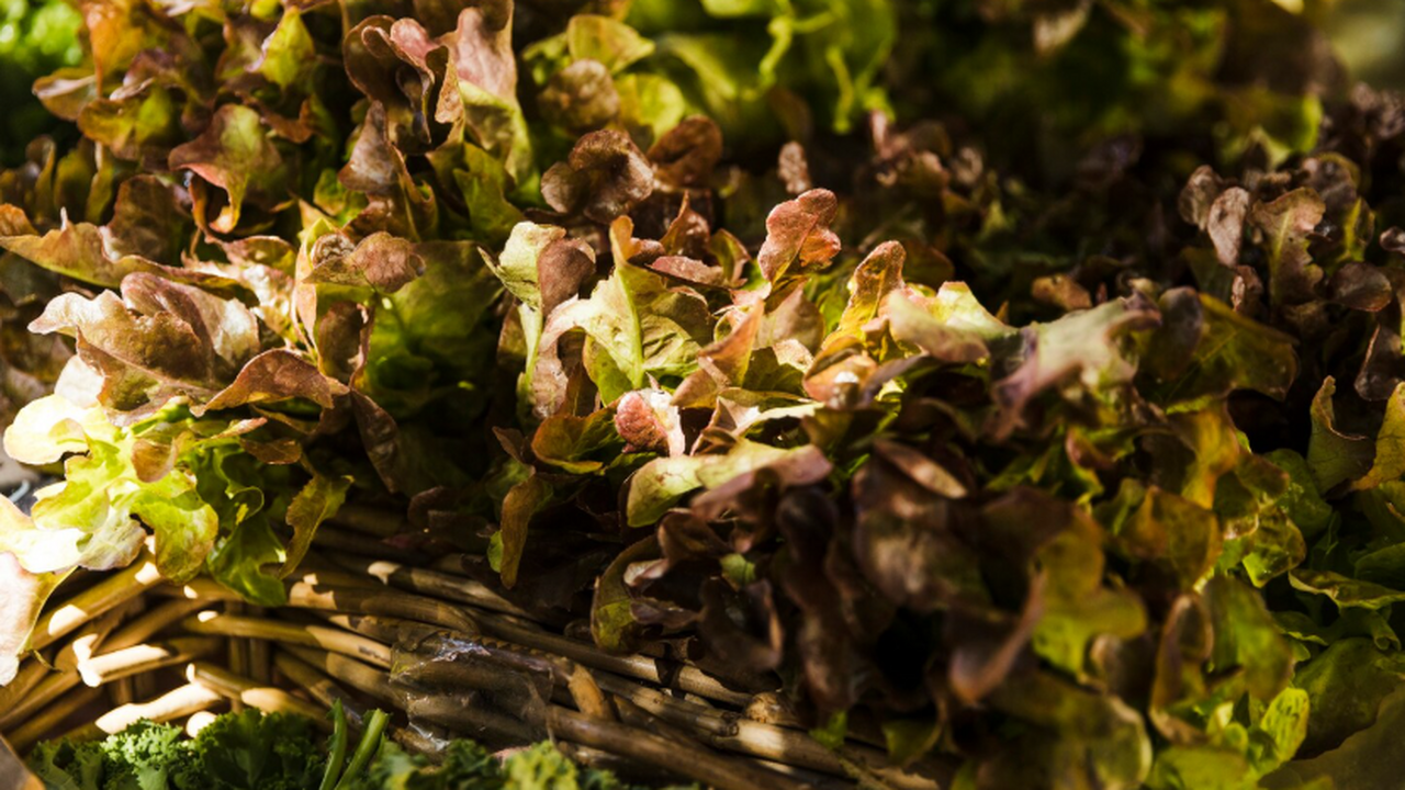 Если в прошлые годы мы переживали из-за холодно...