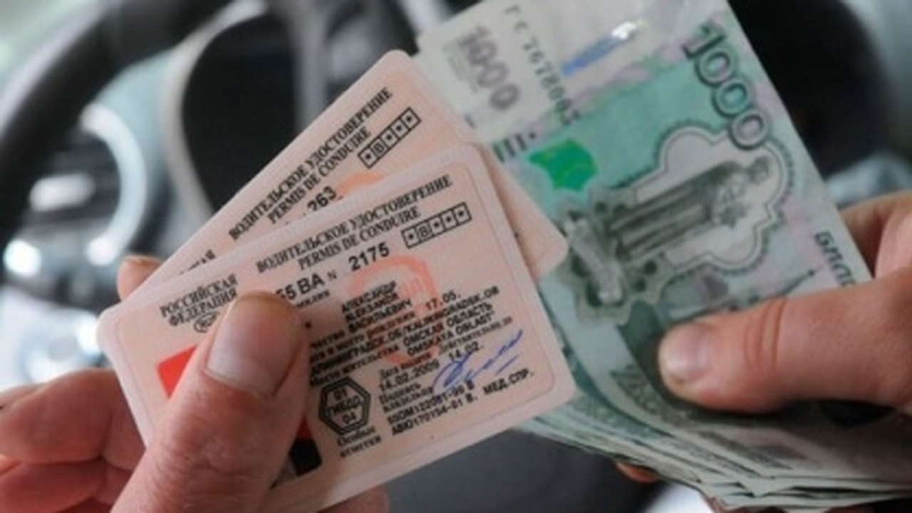 ГАИ начнет поголовно штрафовать за права с 5 ноября: россиян предупредили о новых правилах для водителей Водителей предупредили: отказ показать права бе...