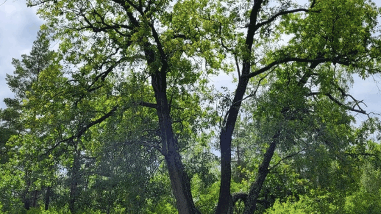 Заместитель главы городского округа, Евгений Вл...