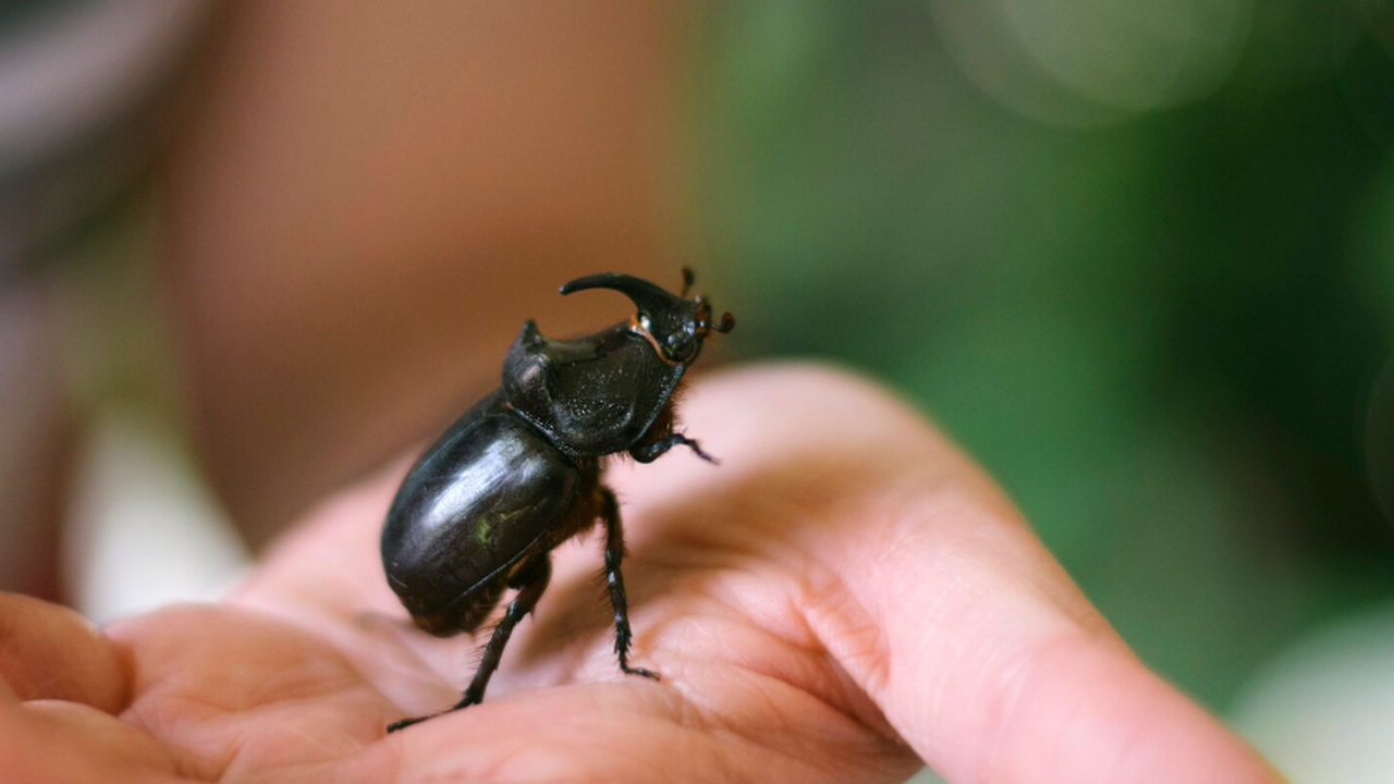 Китайские ученые в районе города Цзиюань нашли ...