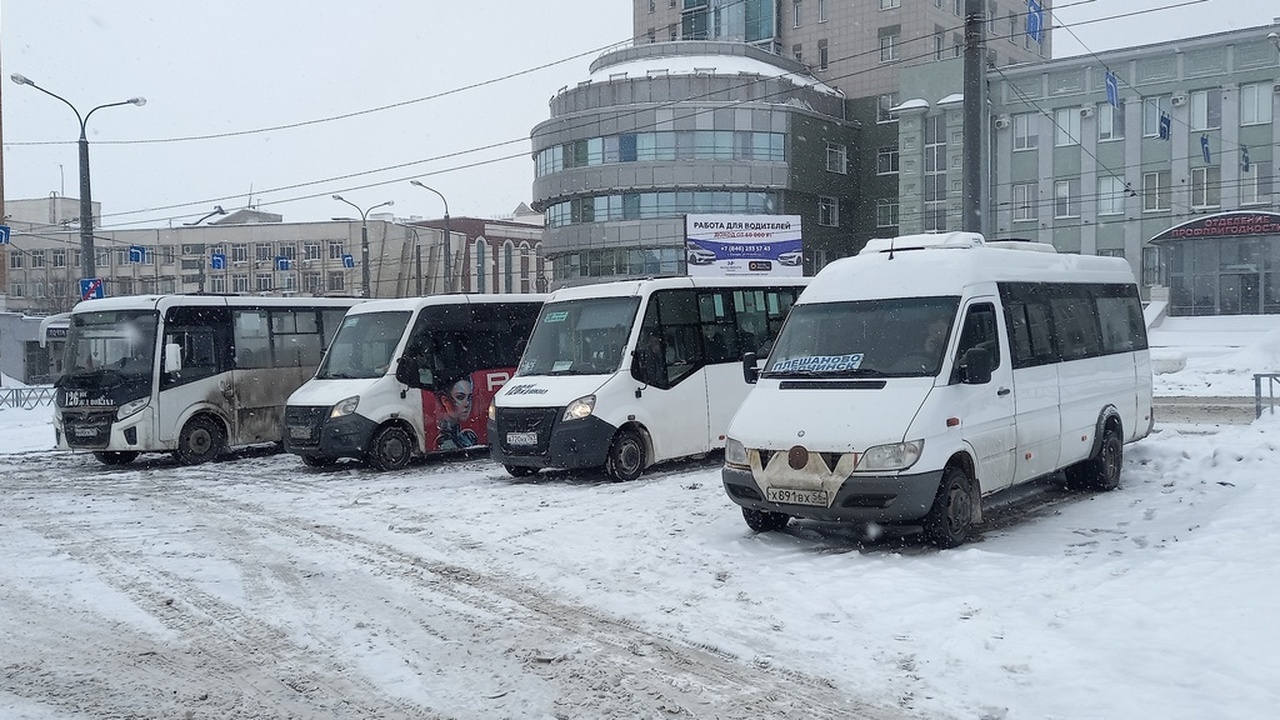 В Самаре объявлена конкурсная процедура по поис...