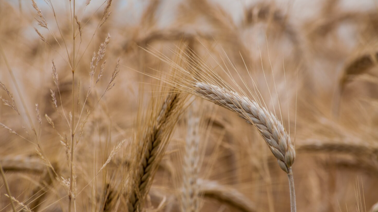 Учёные из Казанского федерального университета ...