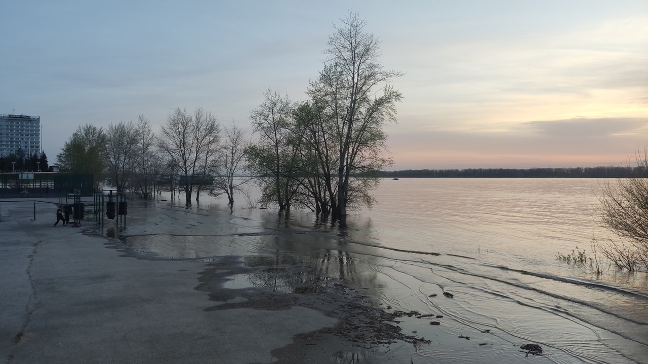 В Самаре с пятницы, 20 декабря 2024 года, было ...