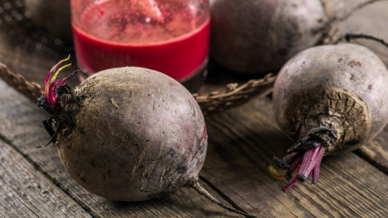 Свёкла сорта Цилиндра получила широкое распрост...