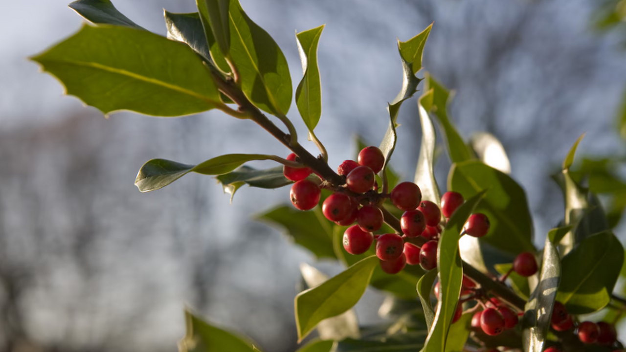 Провинция Юньнань на юго-западе Китая славится ...