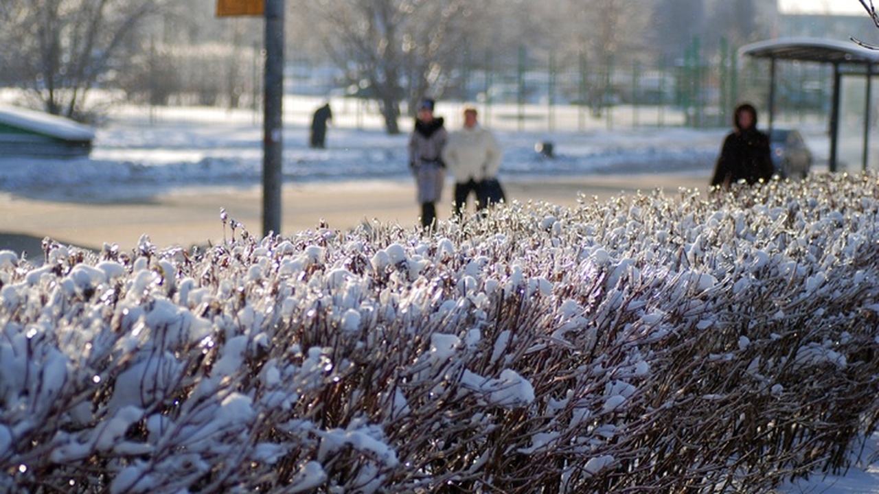 Середина осени в России традиционно сопровождае...