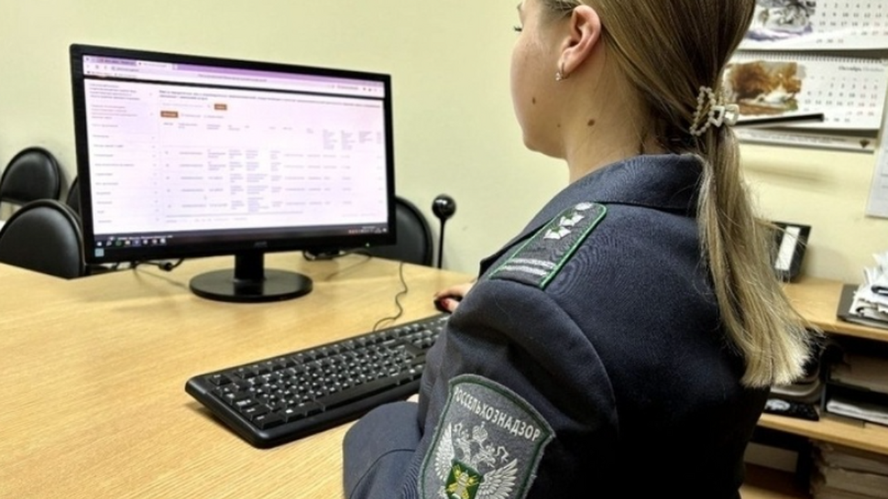 В Самарской области с начала года были выявлены...